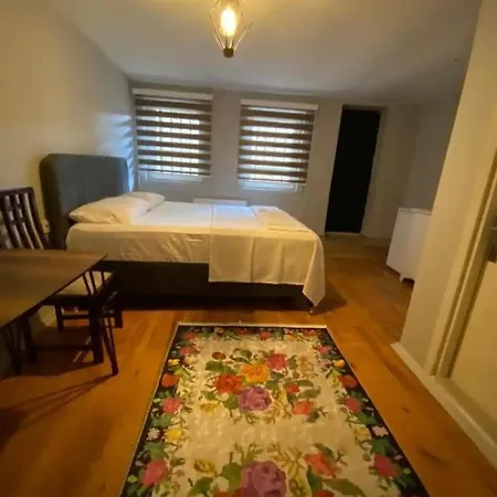 Διαμέρισμα Zelya Flats *