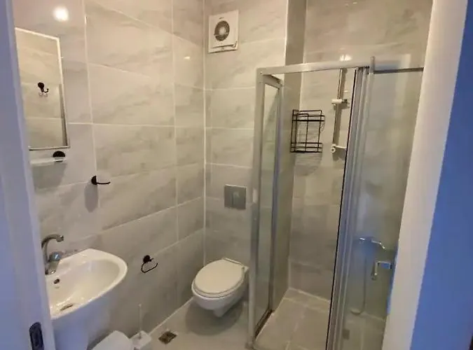 Апартаменты Zelya Flats Стамбул