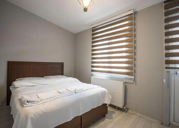 Апартаменты Zelya Flats Стамбул