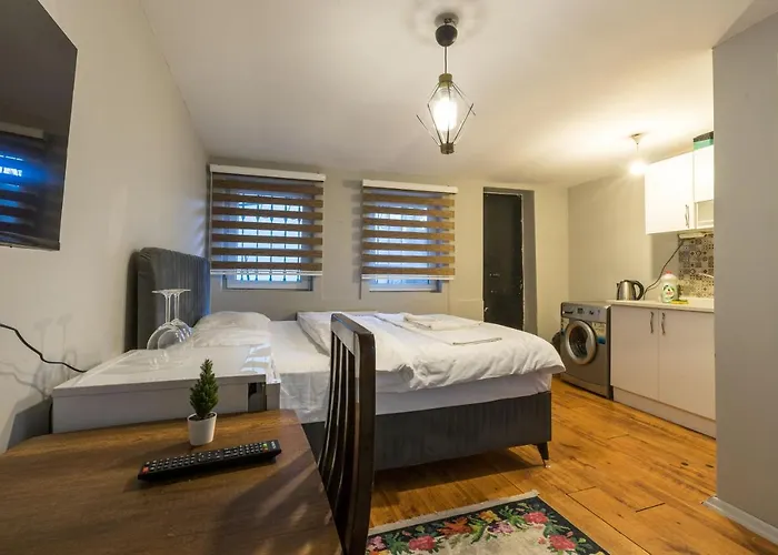 Апартаменты Zelya Flats Стамбул