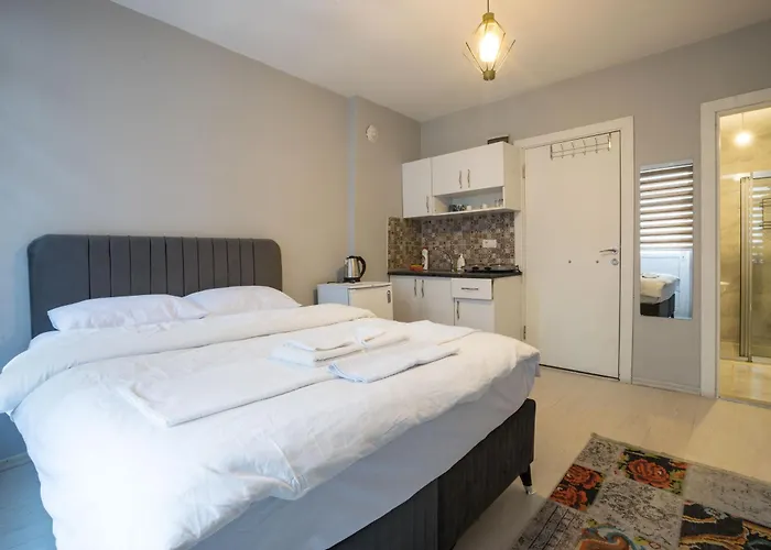 Zelya Flats Апартаменты