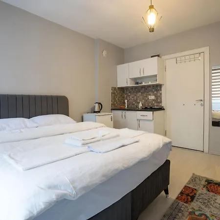 Zelya Flats Apartament